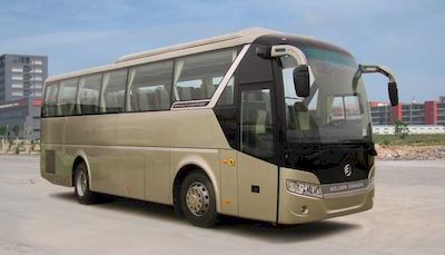 Jinlv  XML6117J53 coach