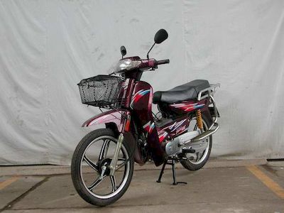 Tianxi  TX1102 Two wheeled motorcycles