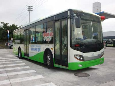 Wuzhoulong  FDG6113EVG6 Pure electric city buses