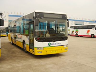 Wuzhoulong  FDG6112HEVG Hybrid urban buses