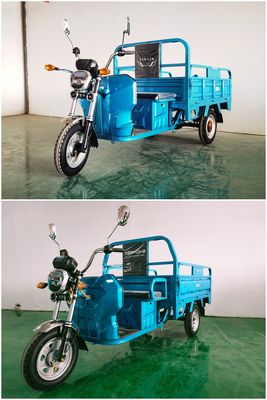 Longyue Qianjiang  QJ1000DZH6A Electric tricycle