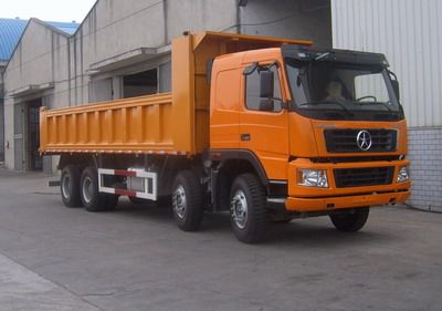 Dayun  DYX3311PA42WPD3D Dump truck