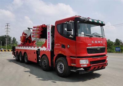 Companion Changxing  AAA5530JQZHN6 Car crane