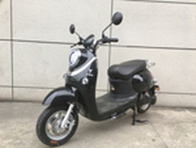 Yuqiling  YQL800DQT7 Electric two wheeled light motorcycle