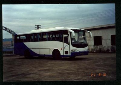 Giant Eagle  SJ6105CET coach