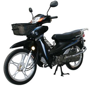 Honghonglie  HL1108V Two wheeled motorcycles