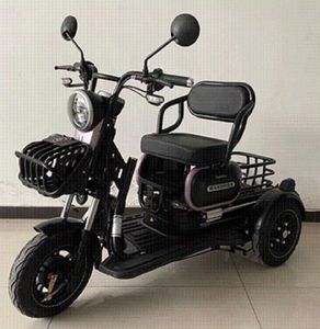 Wanshida  WSD500DQZ7 Electric three wheeled light motorcycle