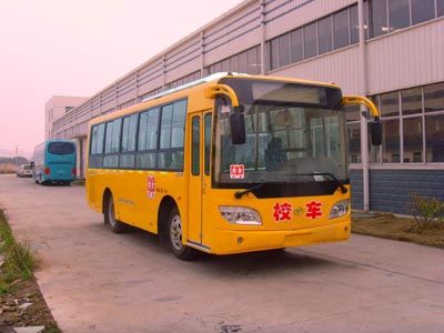 Fujian brand automobiles FJ6820XCG31 Elementary school bus