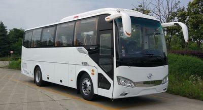 HagridKLQ6889KAE51Dcoach