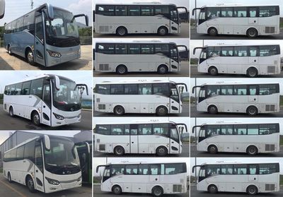 Jinlong  XMQ6821CYD5D coach