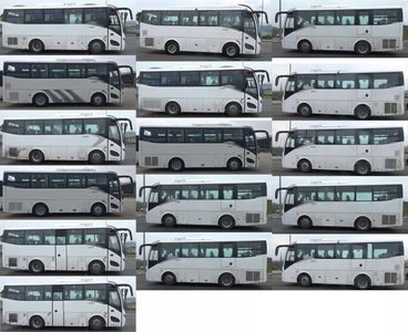 Jinlong  XMQ6821CYD5D coach