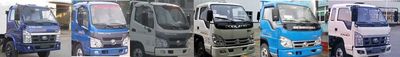 Foton  BJ2045Y7JEA1 Off road cargo vehicle