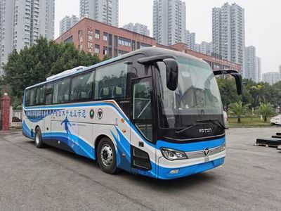 Foton BJ6126EVUA2Pure electric passenger cars