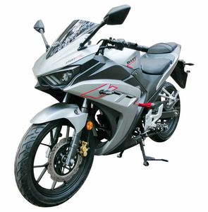 Dayun  DY15051F Two wheeled motorcycles