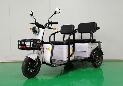 Little Bird XN1500DZK2R Electric tricycle