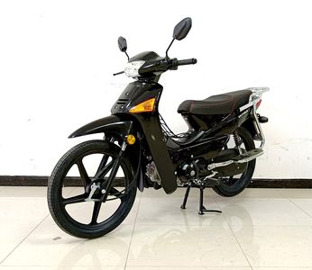 Dalong Yufeng brand automobilesYF110ATwo wheeled motorcycles