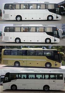 Jinlong  XMQ6113BYD5B coach