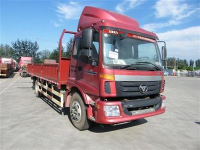 Foton  BJ1169VKPEKAA Truck