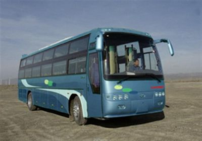 Xiyu  XJ6120W1 Luxury sleeper coach