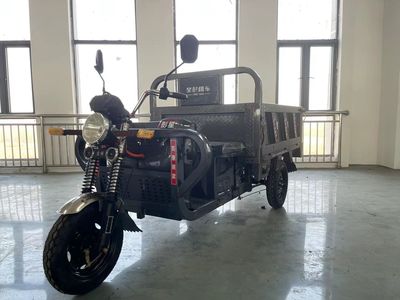 Xingpeng  XP1200DZH6 Electric tricycle