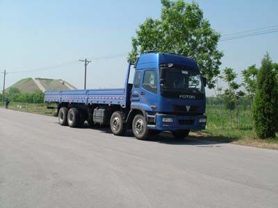 Ouman  BJ1319VNPJF3 Truck