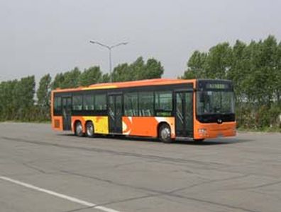 Huanghai  DD6141S21 City buses