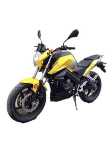 Xunlong  XL1509 Two wheeled motorcycles