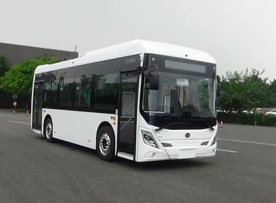 Hengtong Bus CKZ6901BEV01 Pure electric low floor city buses