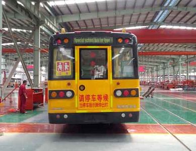 Wuzhoulong  FDG6930FX School buses exclusively for primary school students