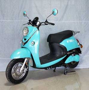 Wangye  WY1500DT4 Electric two wheeled motorcycle