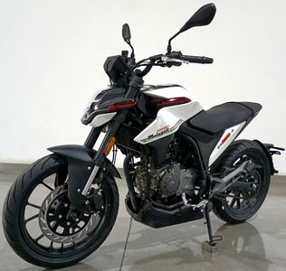 Zongshen brand automobiles ZS2503 Two wheeled motorcycles