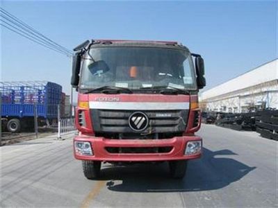 Foton  BJ3313DMPJCS3 Dump truck