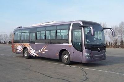 Huanghai  DD6109K70 coach