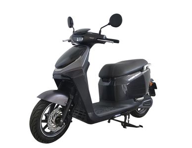 Molin Electric Co., Ltd ML3000DT3A Electric two wheeled motorcycle