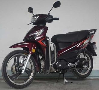 Lifan  LF12511P Two wheeled motorcycles