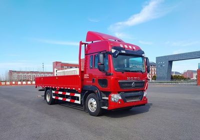 Haowo ZZ1187N501GF1Truck