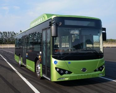 BYD  BYD6101LGEV4 Pure electric low entry city buses