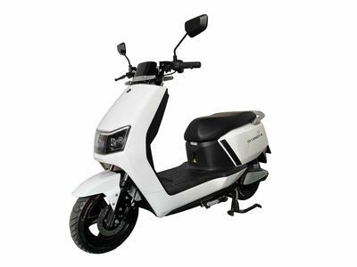 Dayang  DY1200DT8 Electric two wheeled motorcycle