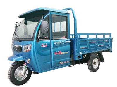 Fengshou  FS2500DZH2C Electric tricycle