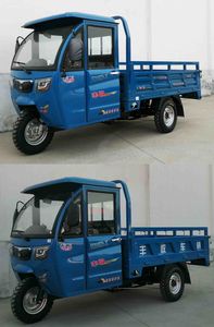 Fengshou  FS2500DZH2C Electric tricycle