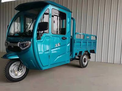 Jinxun  JX1200DZHB6 Electric tricycle