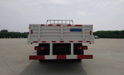 Cheng Li  CLW1120LDS Truck