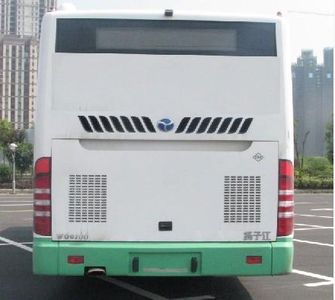 Yangtze River brand automobiles WG6100NHM5 City buses