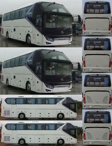 Jinlong  XMQ6125AYN5B coach