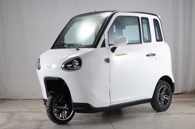 Dayang  DY1500DZK8 Electric tricycle