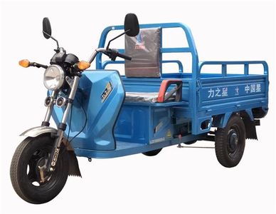 Li Zhi Xing  LZX1500DZH5 Electric tricycle