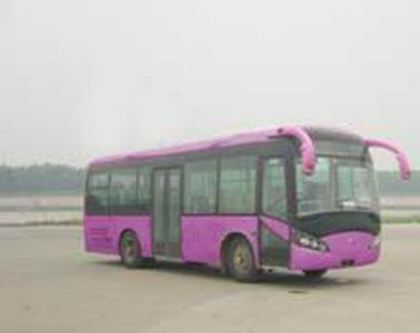 Yutong ZK6926HGACity buses