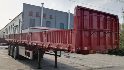 Weizheng Baiye  WZB9401Z tipping chassis 