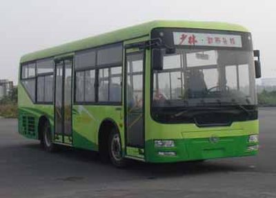 Shaolin  SLG6900C4GFR City buses