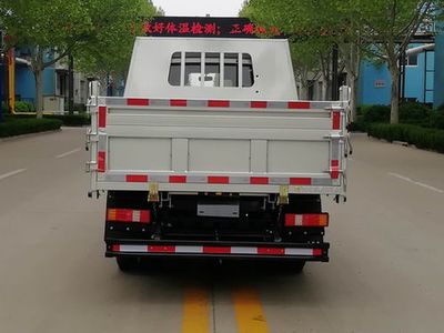 Shifeng  SSF3046DDW42L Dump truck